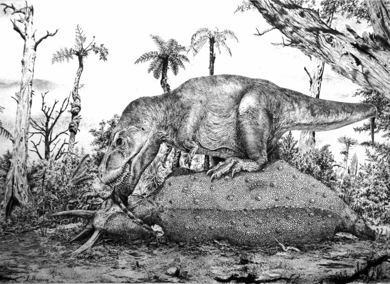 T.rex nad uloveným Triceratopsem